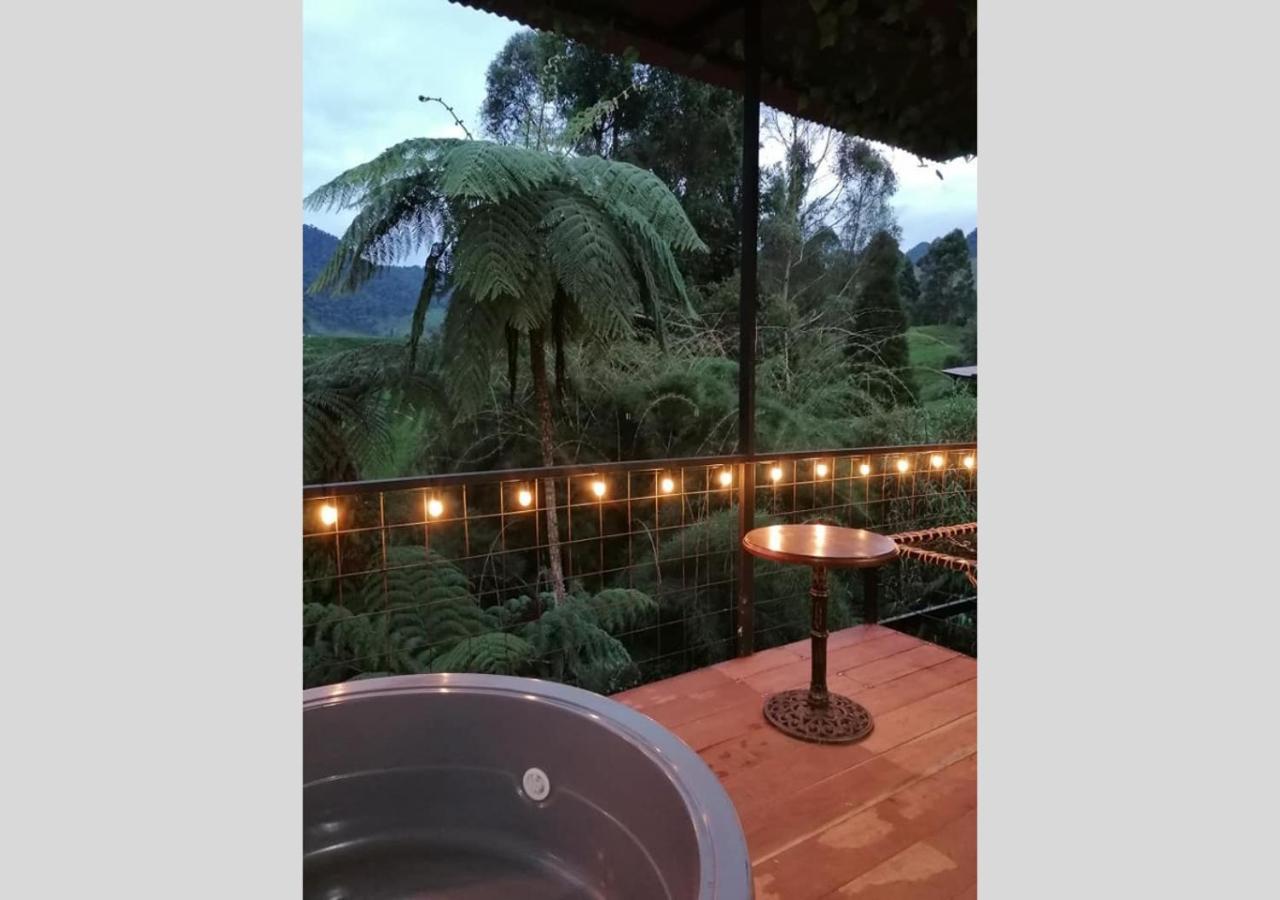 Y Lujosos Magica Luna Manizales Villamaría