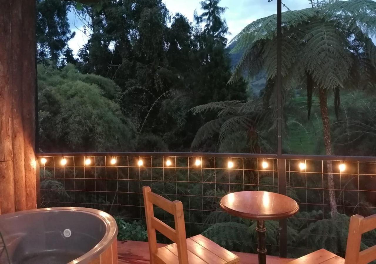 Y Lujosos Magica Luna Manizales