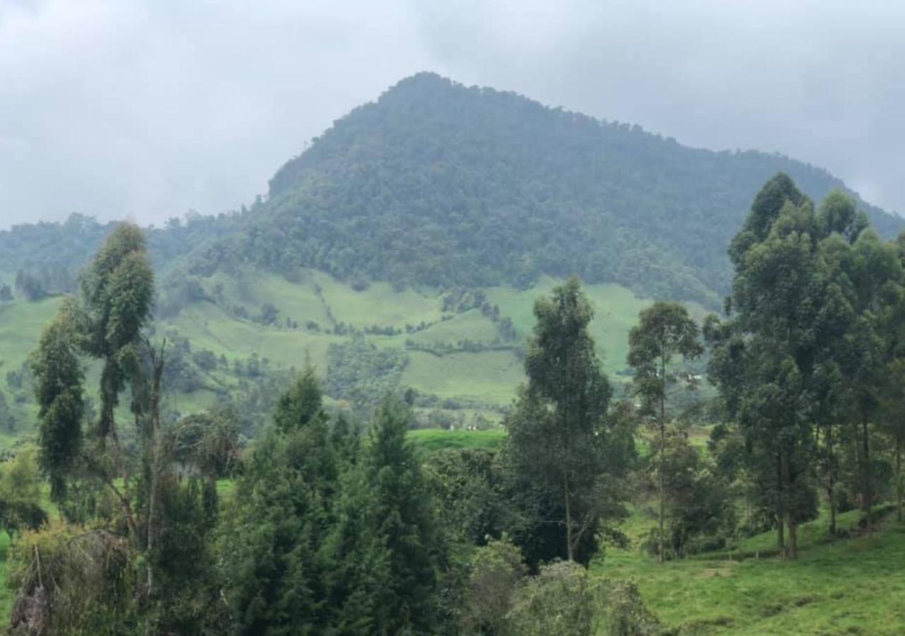 Y Lujosos Magica Luna Manizales Lodge